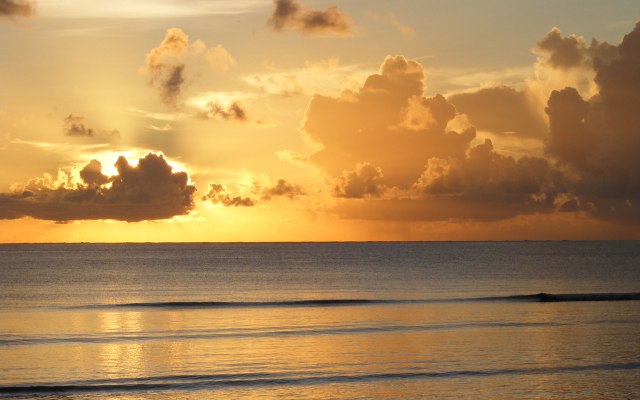 gold-sunrice_isherwoodchris_sa