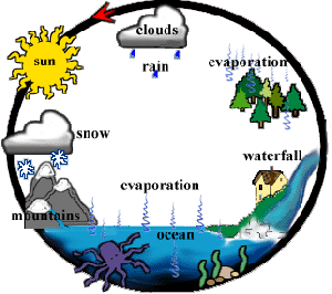 watercycle
