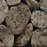 11754_10150987989240996_697007385_n