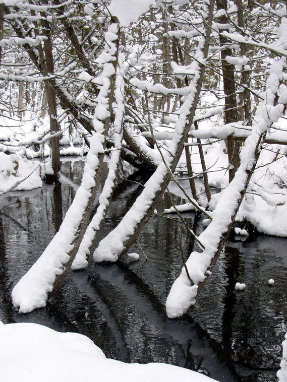 Reason #2 to follow through with that last prognostication