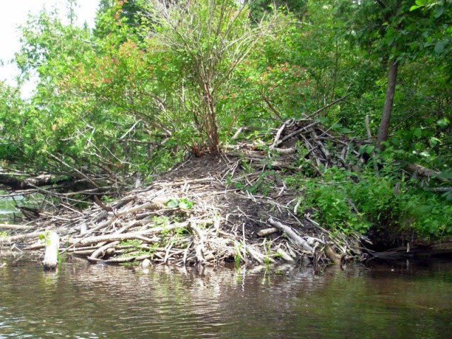 Reason #1 to follow through with that last prognostication