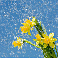 image compliments of http://www.lonestarcandlesupply.com